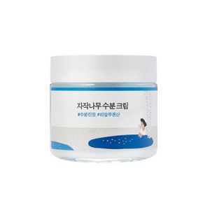 Round Lab Birch Juice Moisturizing Cream 80ml – Festiva